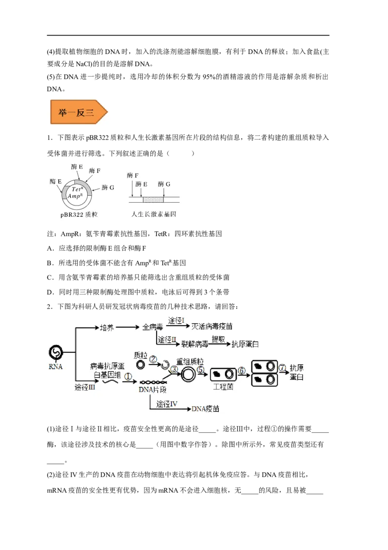易错点28基因工程-备战2023年高考生物考试易错题（新教材新高考）（原卷版）_新高考复习资料_2023年新高考复习资料_专项复习_备战2023年高考生物考试易错题（新教材新高考）