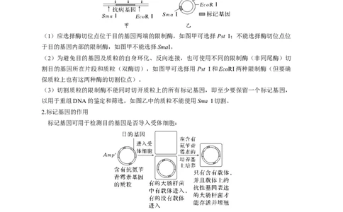 易错点28基因工程-备战2023年高考生物考试易错题（新教材新高考）（原卷版）_新高考复习资料_2023年新高考复习资料_专项复习_备战2023年高考生物考试易错题（新教材新高考）