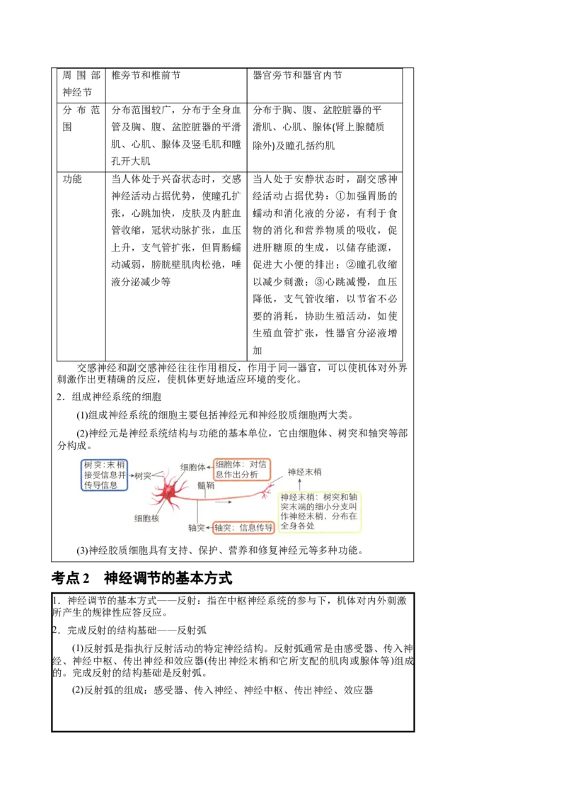 知识清单20+神经调节的结构基础与基本方式（2大考点+5个易错点）-上好课2025年高考生物一轮复习知识清单_2025年新高考资料_一轮复习