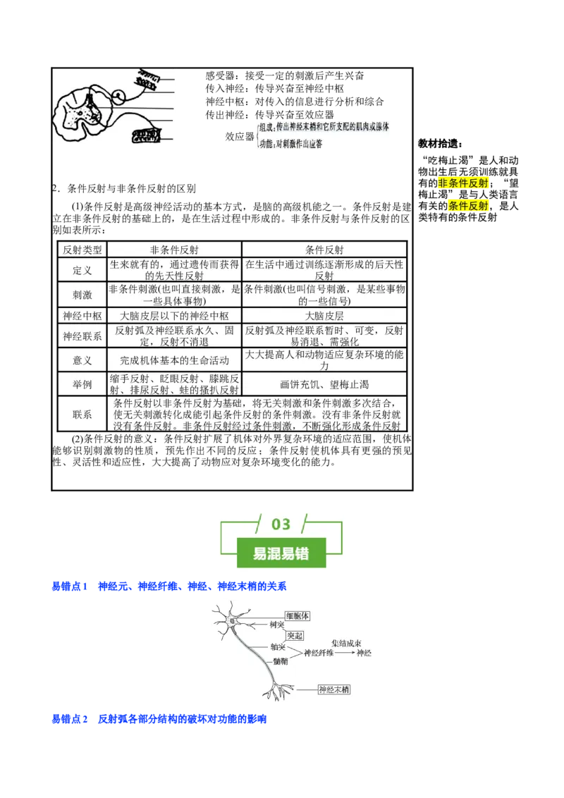 知识清单20+神经调节的结构基础与基本方式（2大考点+5个易错点）-上好课2025年高考生物一轮复习知识清单_2025年新高考资料_一轮复习