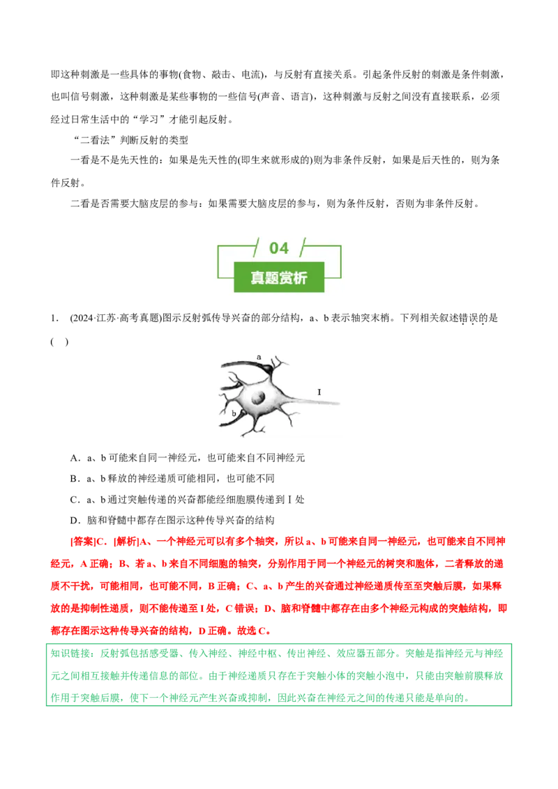 知识清单20+神经调节的结构基础与基本方式（2大考点+5个易错点）-上好课2025年高考生物一轮复习知识清单_2025年新高考资料_一轮复习