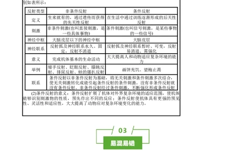 知识清单20+神经调节的结构基础与基本方式（2大考点+5个易错点）-上好课2025年高考生物一轮复习知识清单_2025年新高考资料_一轮复习
