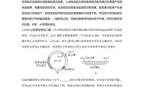 热点微练30　基因工程的操作程序_新高考复习资料_2023年新高考复习资料_一轮复习_2023年新高考大一轮复习讲义_2023年高考生物一轮复习讲义（新人教新高考）_赠补充习题