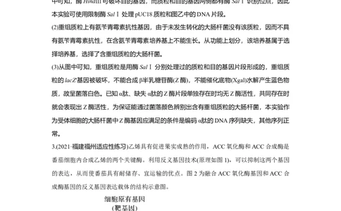 热点微练30　基因工程的操作程序_新高考复习资料_2023年新高考复习资料_一轮复习_2023年新高考大一轮复习讲义_2023年高考生物一轮复习讲义（新人教新高考）_赠补充习题