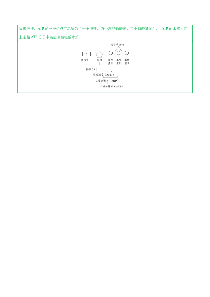 知识清单05+酶和ATP（4大考点+6个易错点）-上好课2025年高考生物一轮复习知识清单_2025年新高考资料_一轮复习_上好课2025年高考生物一轮复习知识清单325572639