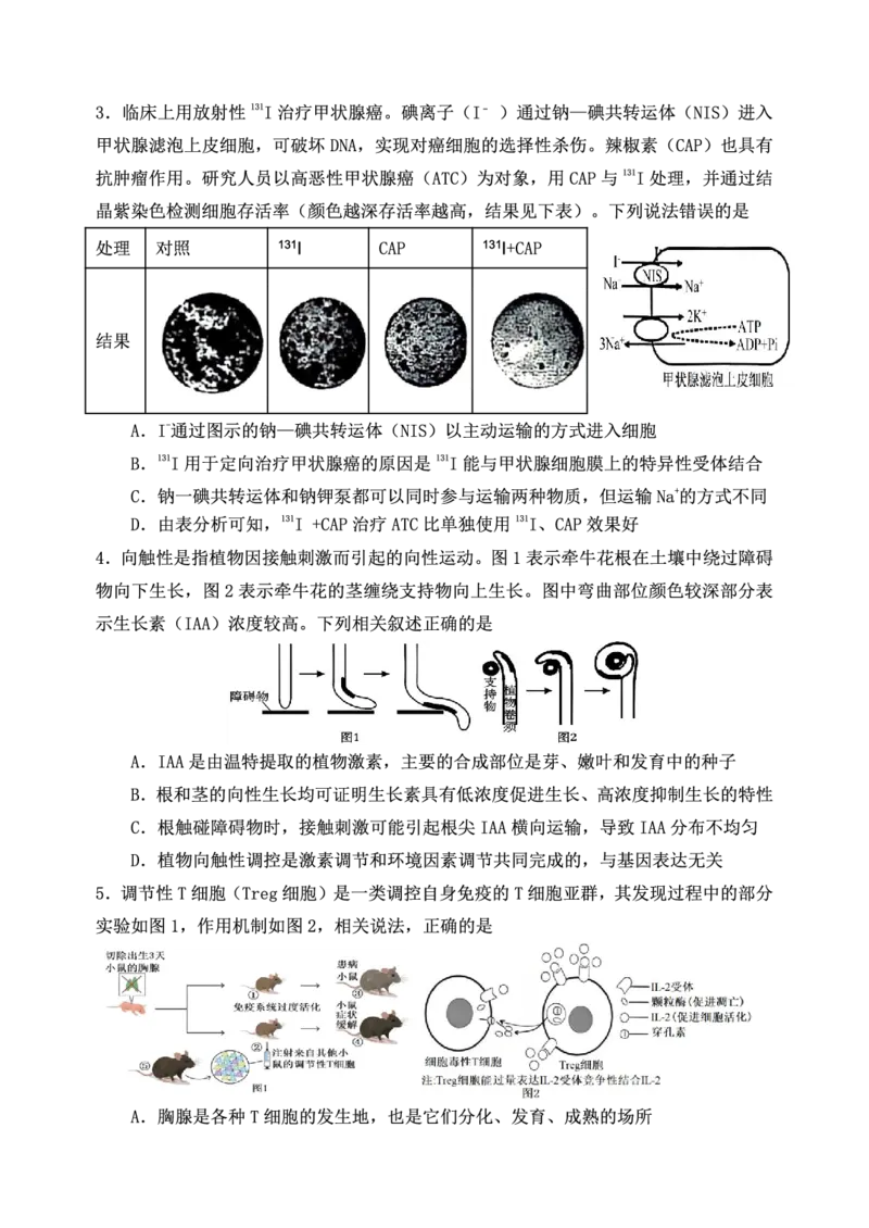 重庆市第八中学校2025-2026学年度（下）高三年级入学考试生物_2024-2026高三（6-6月题库）_2026年03月高三试卷_260301重庆市第八中学校2025-2026学年度（下）高三年级入学考试（全科）