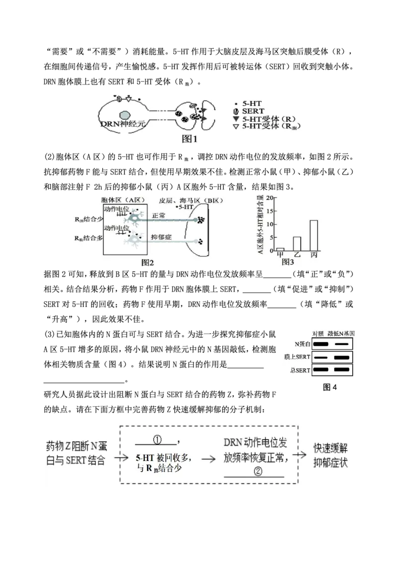 重庆市第八中学校2025-2026学年度（下）高三年级入学考试生物_2024-2026高三（6-6月题库）_2026年03月高三试卷_260301重庆市第八中学校2025-2026学年度（下）高三年级入学考试（全科）