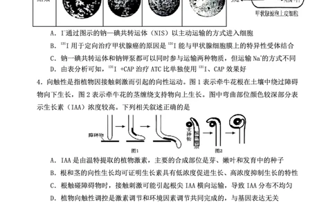 重庆市第八中学校2025-2026学年度（下）高三年级入学考试生物_2024-2026高三（6-6月题库）_2026年03月高三试卷_260301重庆市第八中学校2025-2026学年度（下）高三年级入学考试（全科）