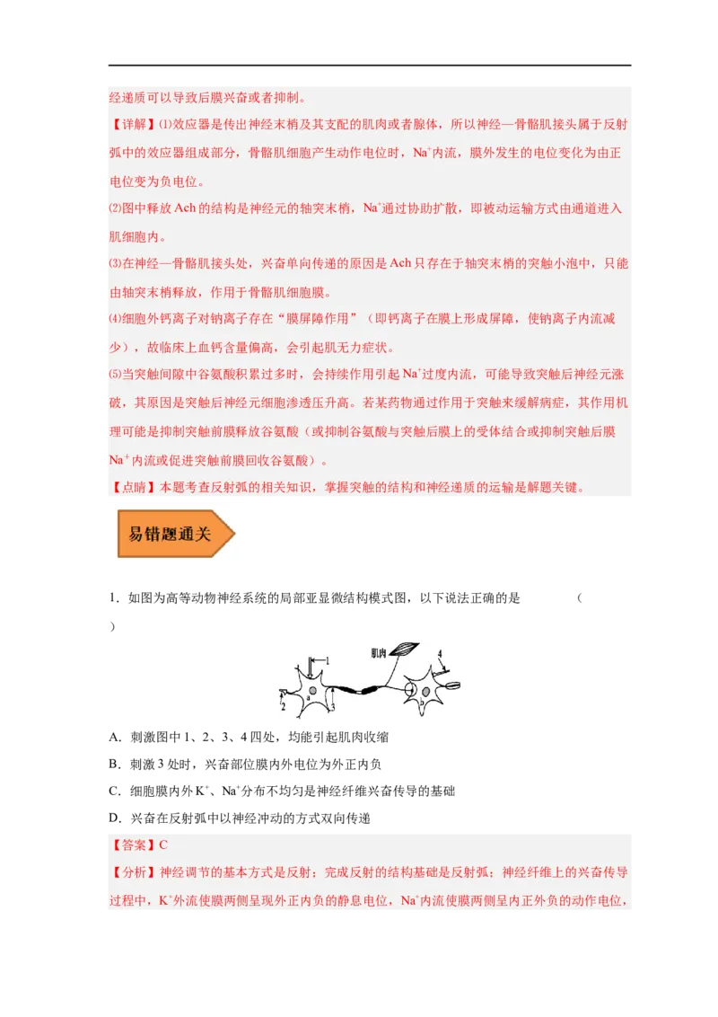 易错点20神经调节-备战2023年高考生物考试易错题（新教材新高考）（解析版）_新高考复习资料_2023年新高考复习资料_专项复习_备战2023年高考生物考试易错题（新教材新高考）