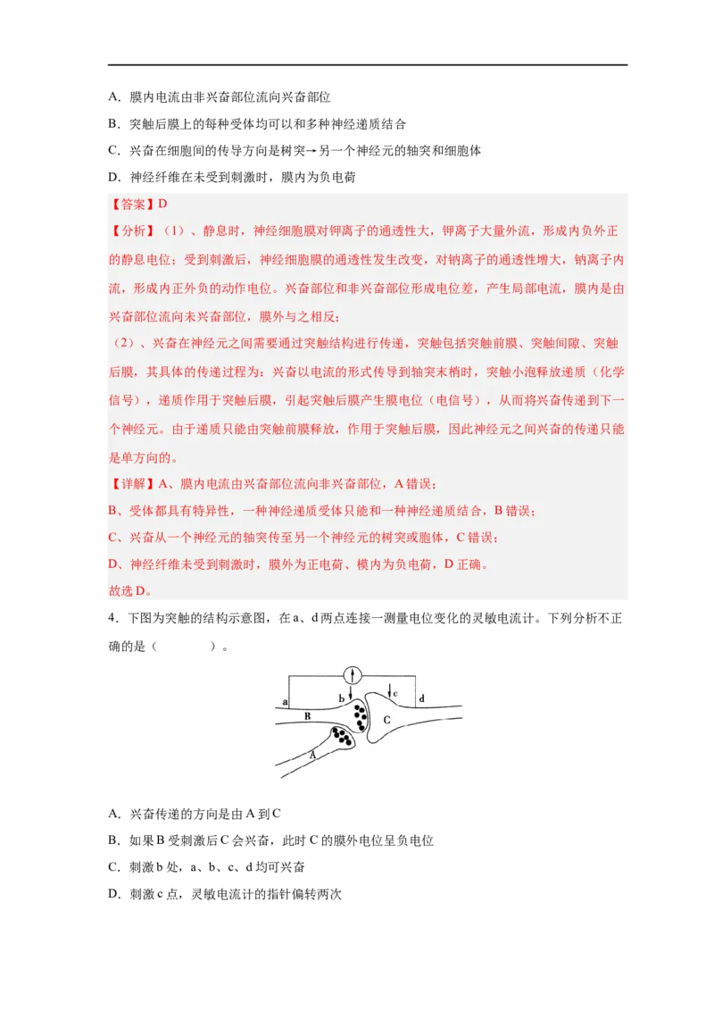 易错点20神经调节-备战2023年高考生物考试易错题（新教材新高考）（解析版）_新高考复习资料_2023年新高考复习资料_专项复习_备战2023年高考生物考试易错题（新教材新高考）