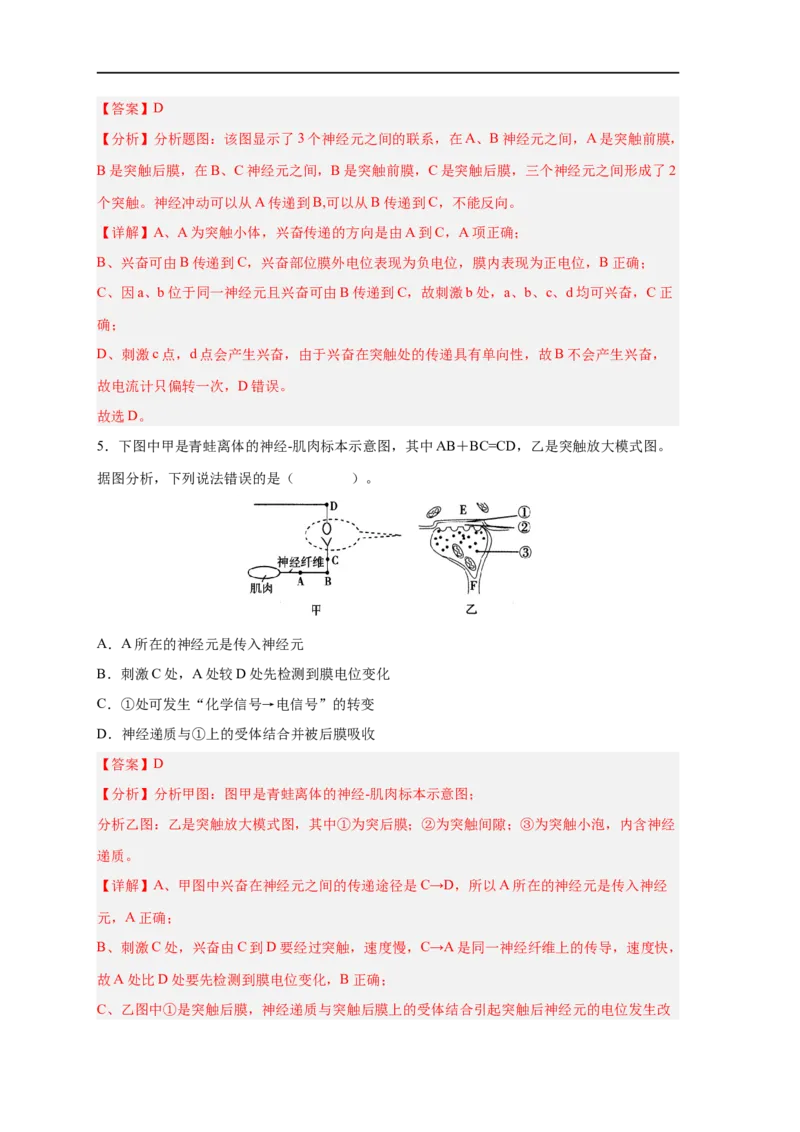 易错点20神经调节-备战2023年高考生物考试易错题（新教材新高考）（解析版）_新高考复习资料_2023年新高考复习资料_专项复习_备战2023年高考生物考试易错题（新教材新高考）