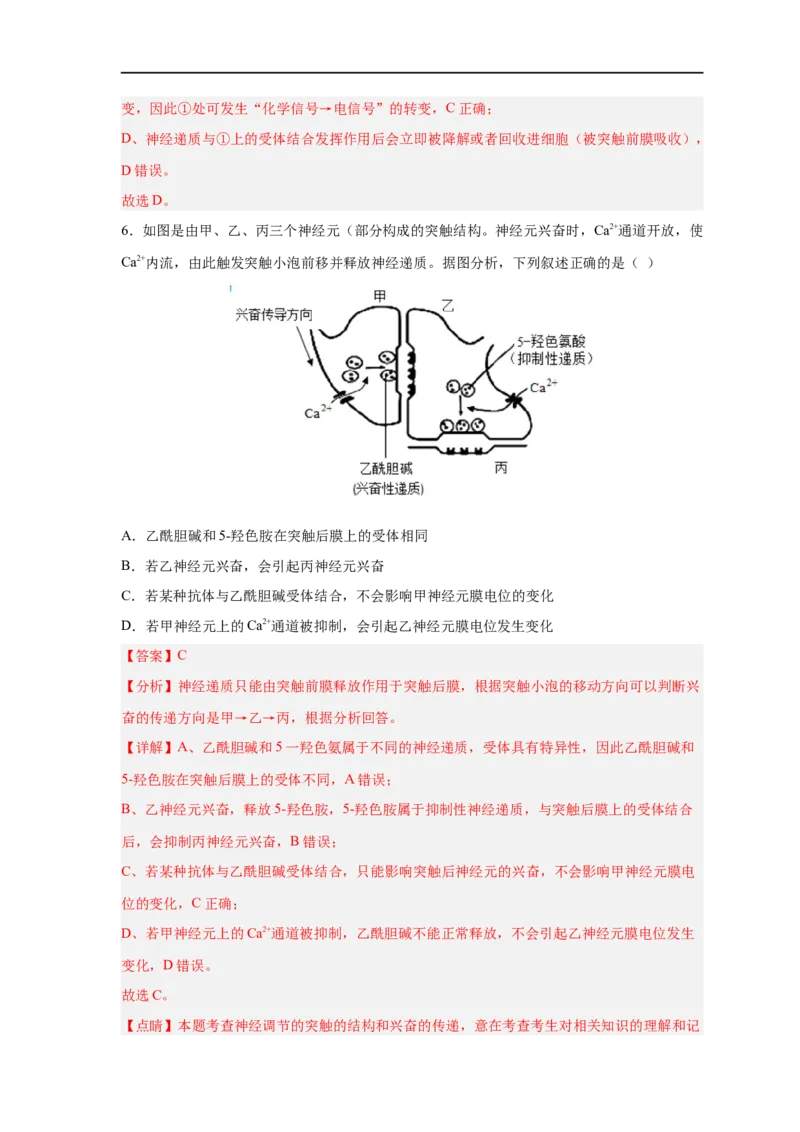 易错点20神经调节-备战2023年高考生物考试易错题（新教材新高考）（解析版）_新高考复习资料_2023年新高考复习资料_专项复习_备战2023年高考生物考试易错题（新教材新高考）