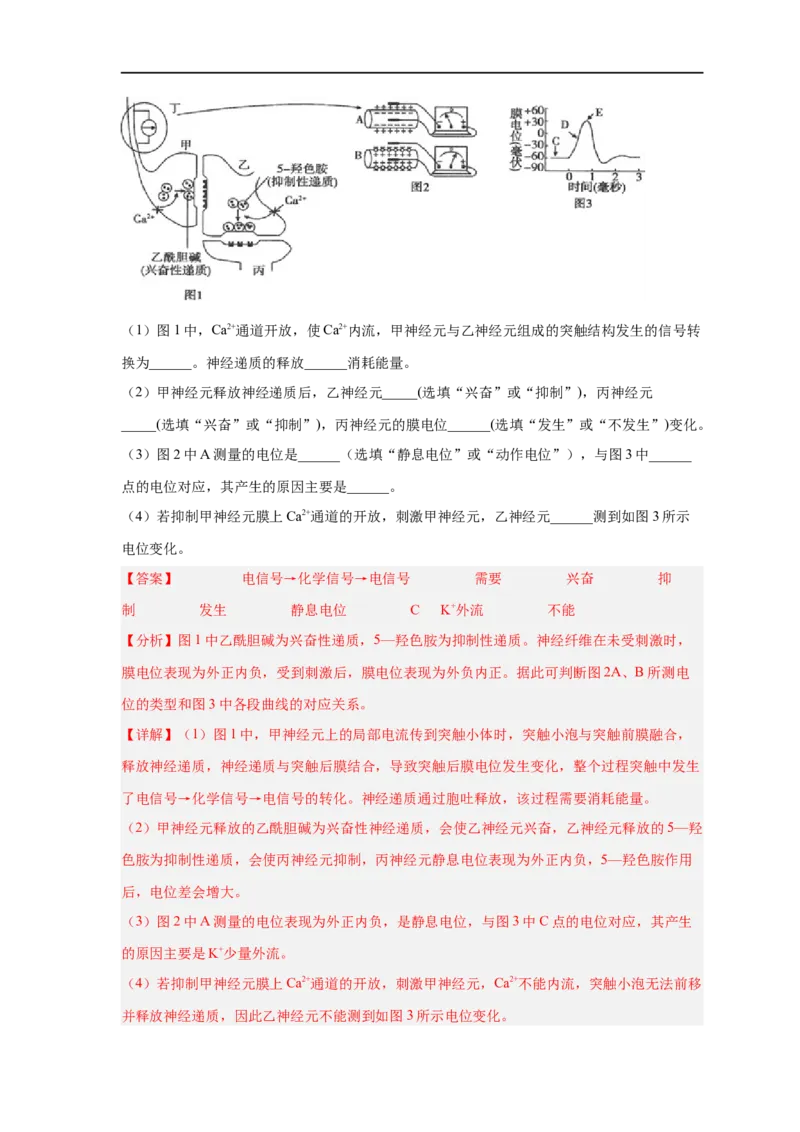 易错点20神经调节-备战2023年高考生物考试易错题（新教材新高考）（解析版）_新高考复习资料_2023年新高考复习资料_专项复习_备战2023年高考生物考试易错题（新教材新高考）