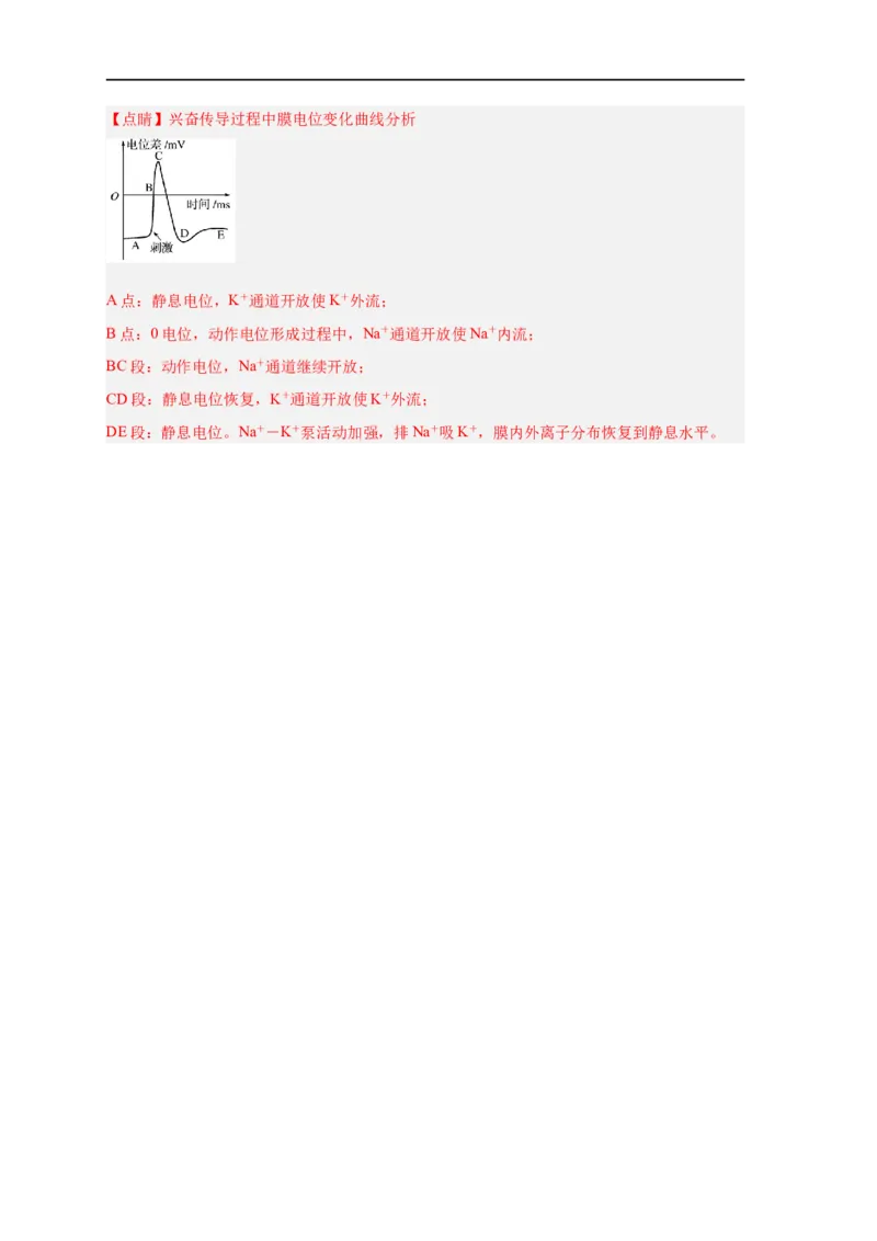 易错点20神经调节-备战2023年高考生物考试易错题（新教材新高考）（解析版）_新高考复习资料_2023年新高考复习资料_专项复习_备战2023年高考生物考试易错题（新教材新高考）