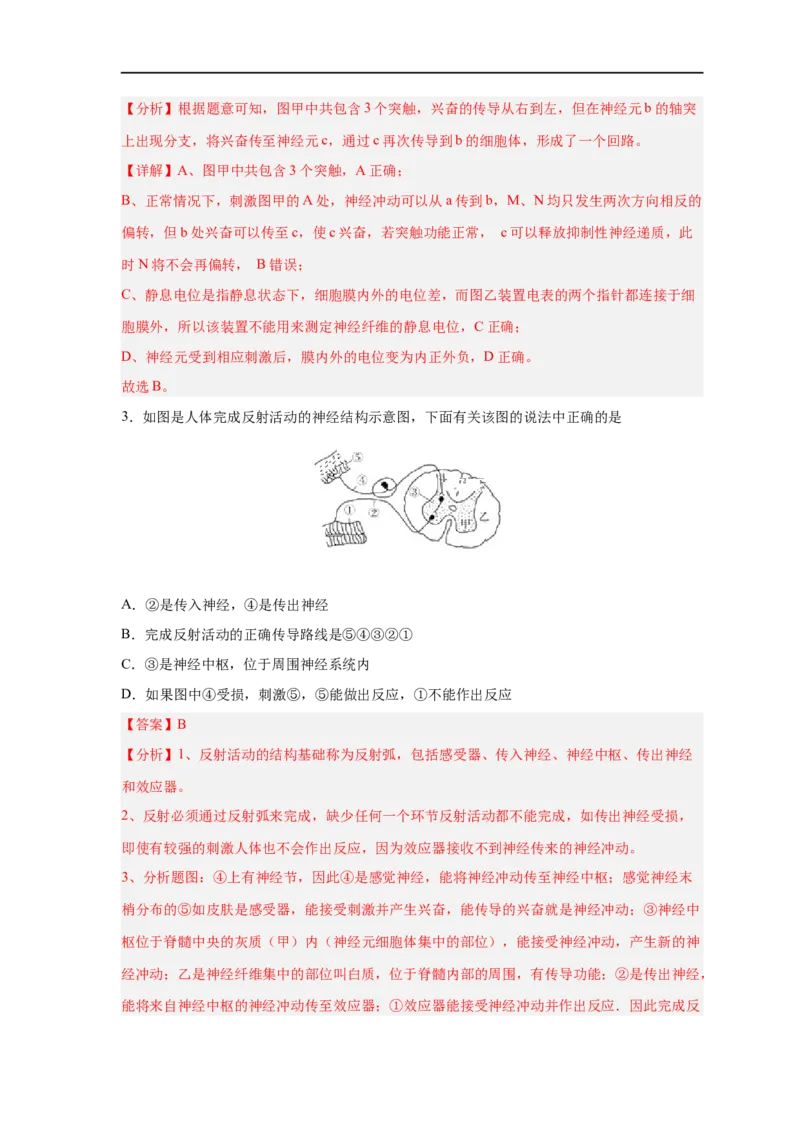 易错点20神经调节-备战2023年高考生物考试易错题（新教材新高考）（解析版）_新高考复习资料_2023年新高考复习资料_专项复习_备战2023年高考生物考试易错题（新教材新高考）