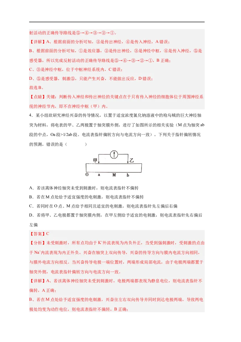 易错点20神经调节-备战2023年高考生物考试易错题（新教材新高考）（解析版）_新高考复习资料_2023年新高考复习资料_专项复习_备战2023年高考生物考试易错题（新教材新高考）