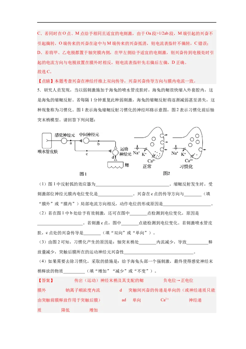 易错点20神经调节-备战2023年高考生物考试易错题（新教材新高考）（解析版）_新高考复习资料_2023年新高考复习资料_专项复习_备战2023年高考生物考试易错题（新教材新高考）