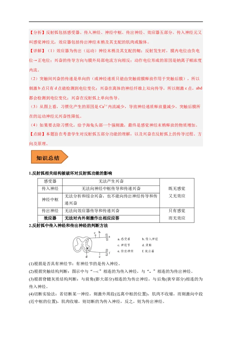 易错点20神经调节-备战2023年高考生物考试易错题（新教材新高考）（解析版）_新高考复习资料_2023年新高考复习资料_专项复习_备战2023年高考生物考试易错题（新教材新高考）