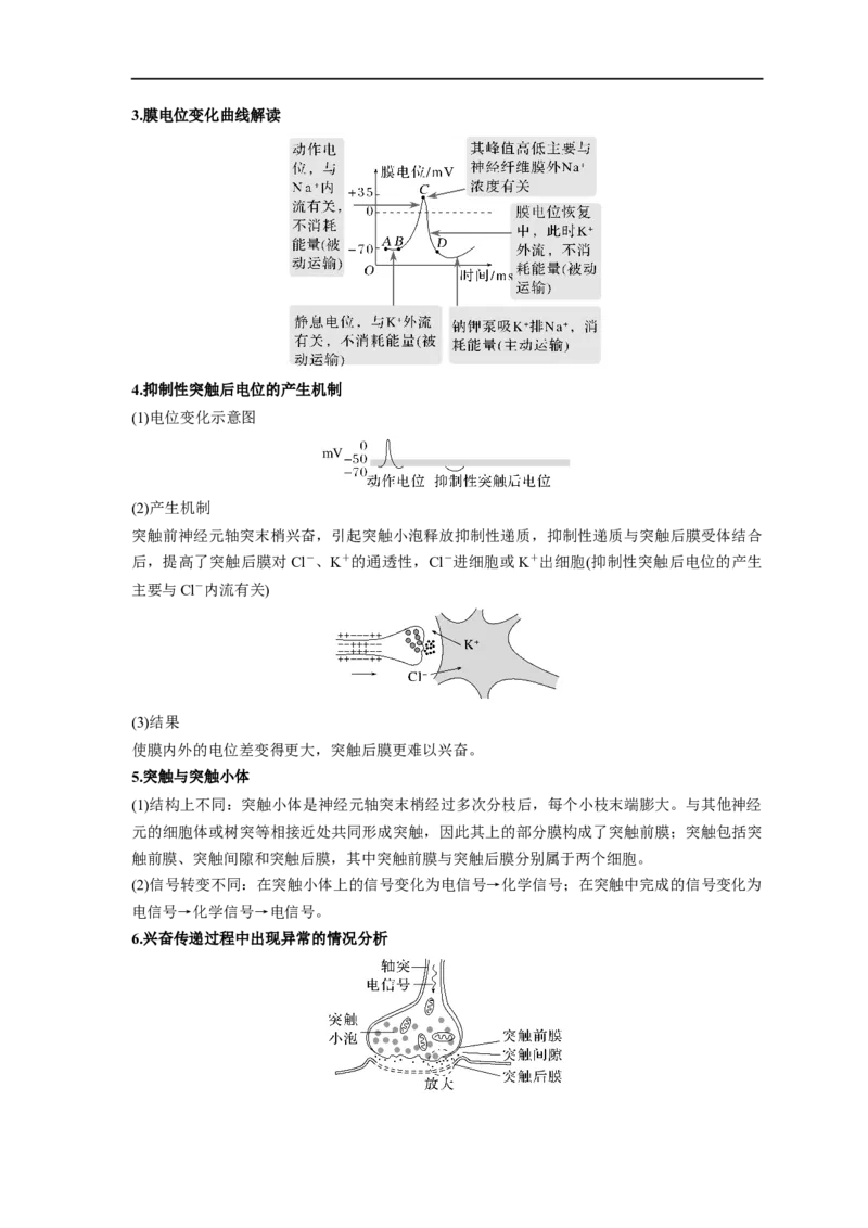 易错点20神经调节-备战2023年高考生物考试易错题（新教材新高考）（解析版）_新高考复习资料_2023年新高考复习资料_专项复习_备战2023年高考生物考试易错题（新教材新高考）