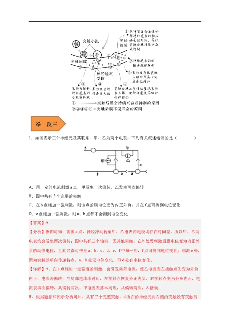 易错点20神经调节-备战2023年高考生物考试易错题（新教材新高考）（解析版）_新高考复习资料_2023年新高考复习资料_专项复习_备战2023年高考生物考试易错题（新教材新高考）
