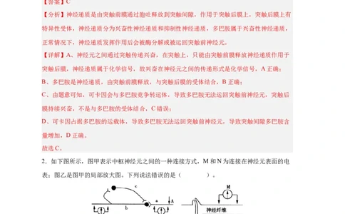 易错点20神经调节-备战2023年高考生物考试易错题（新教材新高考）（解析版）_新高考复习资料_2023年新高考复习资料_专项复习_备战2023年高考生物考试易错题（新教材新高考）