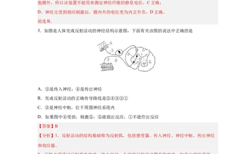 易错点20神经调节-备战2023年高考生物考试易错题（新教材新高考）（解析版）_新高考复习资料_2023年新高考复习资料_专项复习_备战2023年高考生物考试易错题（新教材新高考）