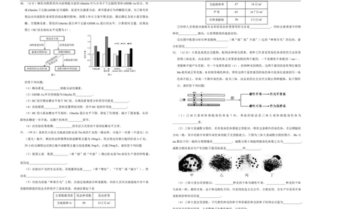 格致精选2021届高三第二次模拟考试卷生物（四）学生版_通用版（老高考）复习资料_2023年复习资料_专项复习_2023《微专题&middot;小练习》&middot;生物_模拟题_2021二模试卷