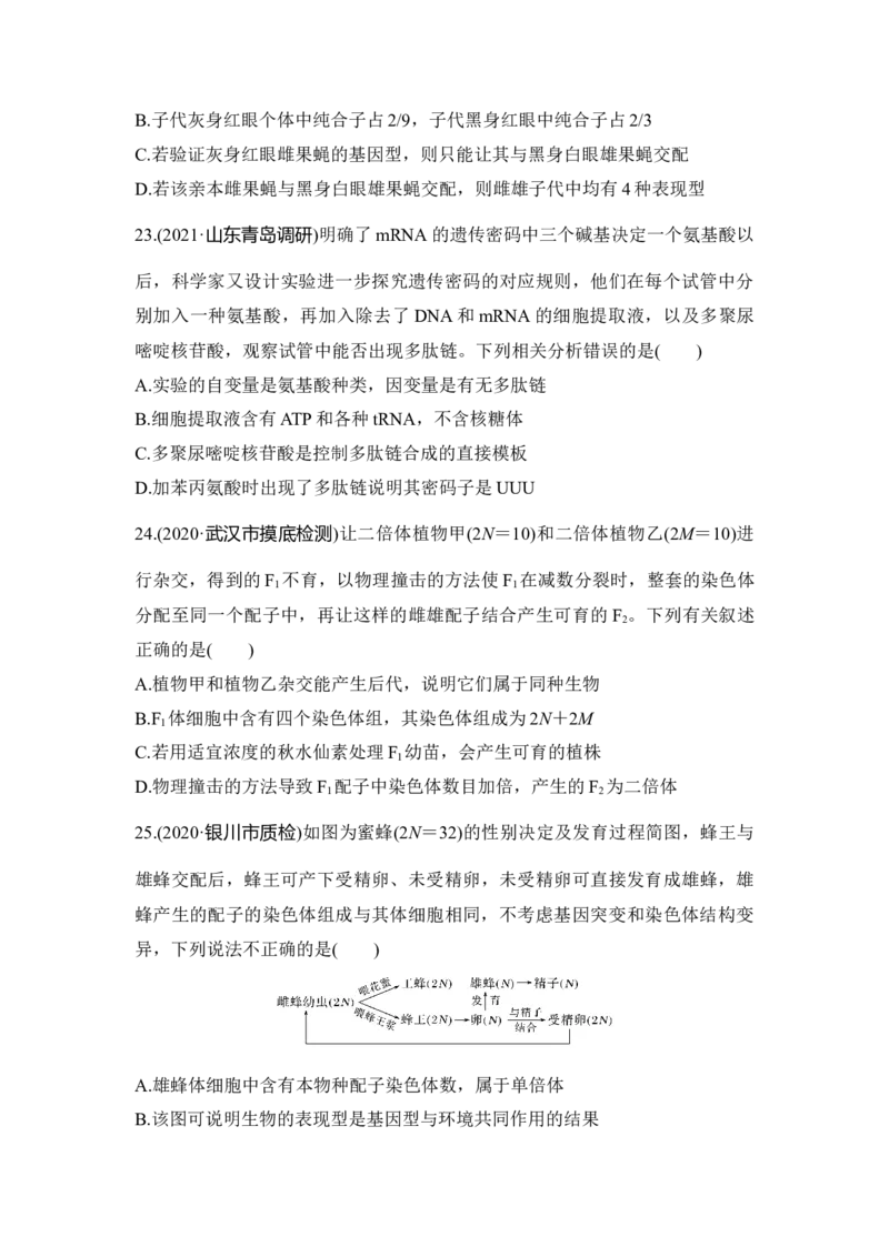 模块检测卷（二）_通用版（老高考）复习资料_2023年复习资料_一轮复习_2023年高考生物一轮复习讲义+课件（全国版）_2023年高考生物一轮复习讲义（全国版）_赠补充习题