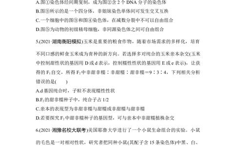 模块检测卷（二）_通用版（老高考）复习资料_2023年复习资料_一轮复习_2023年高考生物一轮复习讲义+课件（全国版）_2023年高考生物一轮复习讲义（全国版）_赠补充习题