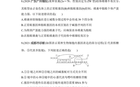 模块检测卷（二）_通用版（老高考）复习资料_2023年复习资料_一轮复习_2023年高考生物一轮复习讲义+课件（全国版）_2023年高考生物一轮复习讲义（全国版）_赠补充习题