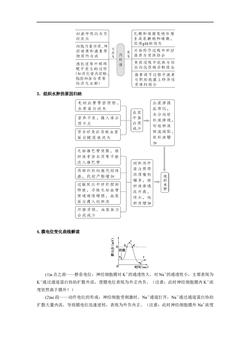 易错点21人体的内环境及神经调节（解析版）_通用版（老高考）复习资料_2023年复习资料_专项复习_备战2023年高考生物考试易错题（全国通用）