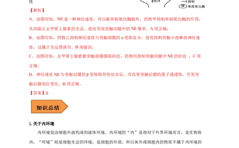易错点21人体的内环境及神经调节（解析版）_通用版（老高考）复习资料_2023年复习资料_专项复习_备战2023年高考生物考试易错题（全国通用）