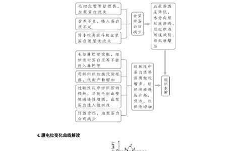 易错点21人体的内环境及神经调节（解析版）_通用版（老高考）复习资料_2023年复习资料_专项复习_备战2023年高考生物考试易错题（全国通用）