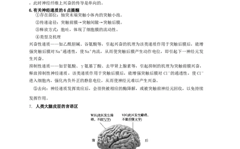 易错点21人体的内环境及神经调节（解析版）_通用版（老高考）复习资料_2023年复习资料_专项复习_备战2023年高考生物考试易错题（全国通用）