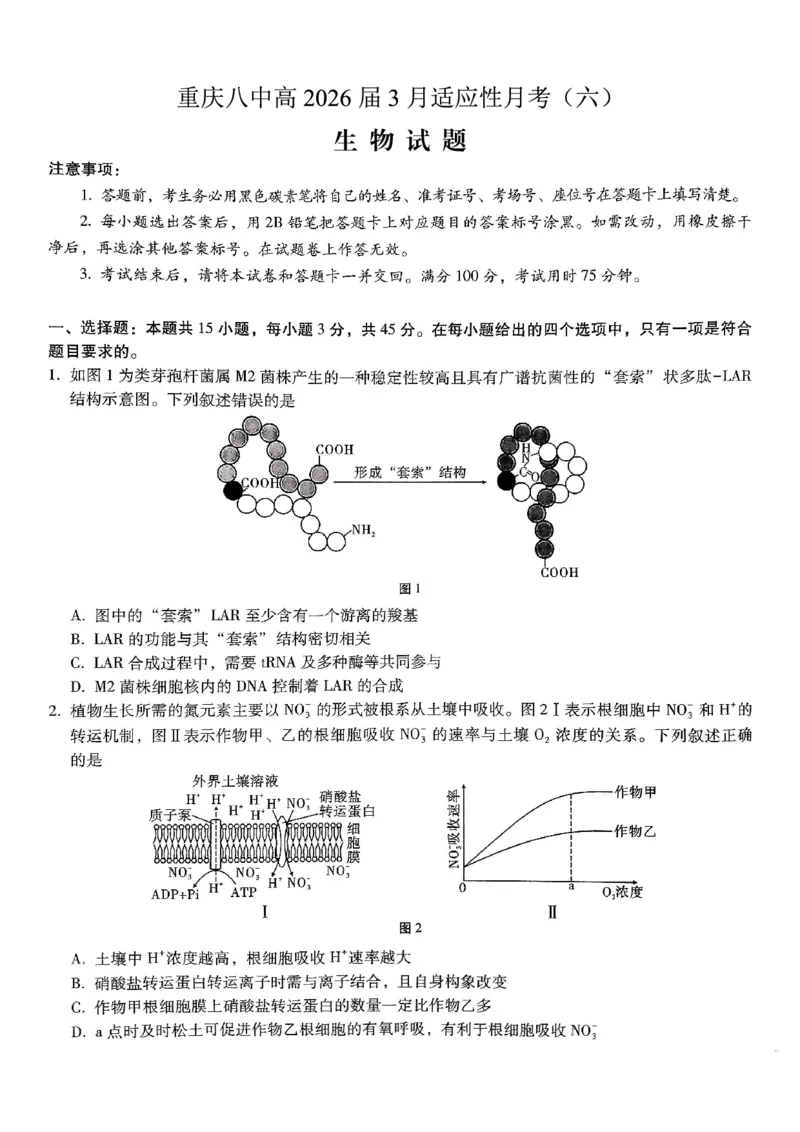 重庆市第八中学2026届高考适应性月考卷（六）生物_2024-2026高三（6-6月题库）_2026年03月高三试卷_260323重庆市第八中学2026届高考适应性月考卷（六）（全科）