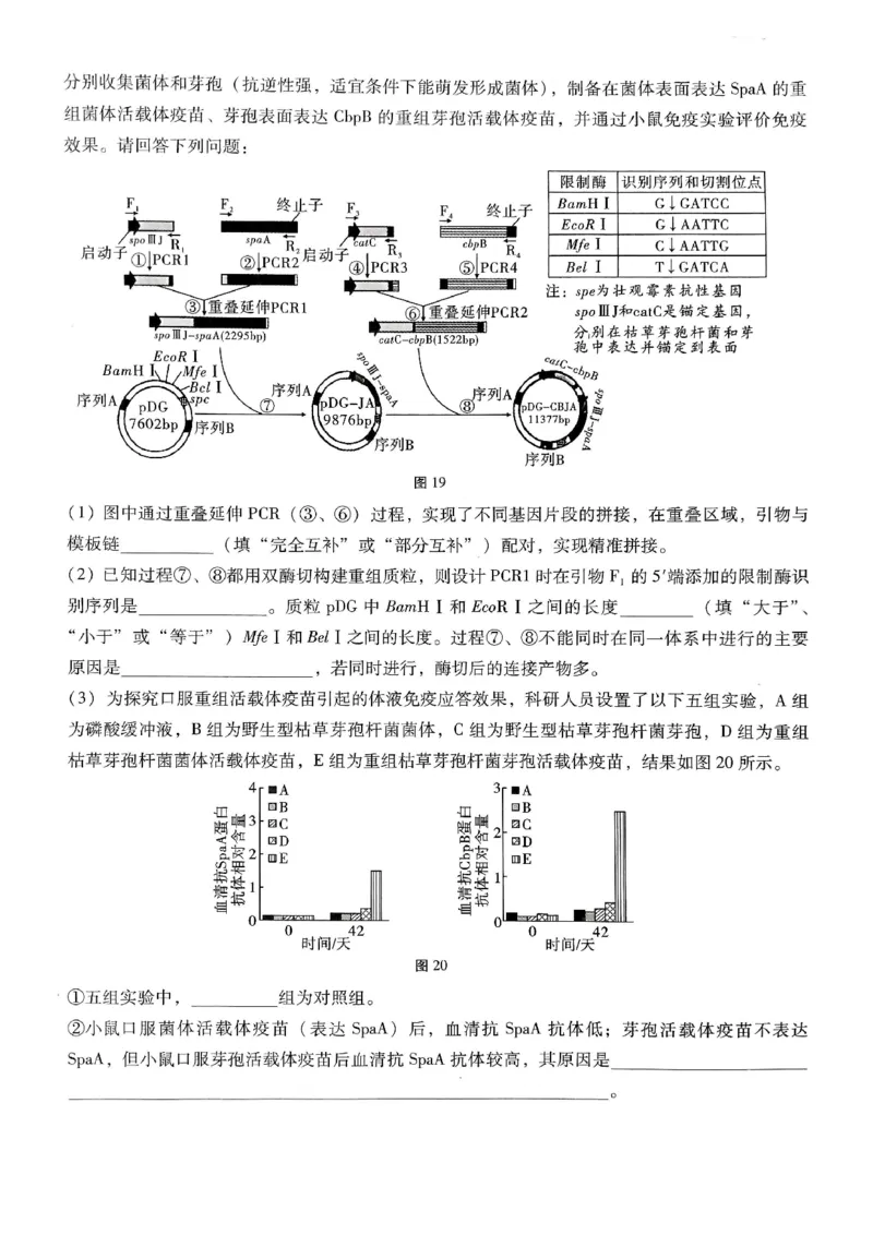 重庆市第八中学2026届高考适应性月考卷（六）生物_2024-2026高三（6-6月题库）_2026年03月高三试卷_260323重庆市第八中学2026届高考适应性月考卷（六）（全科）