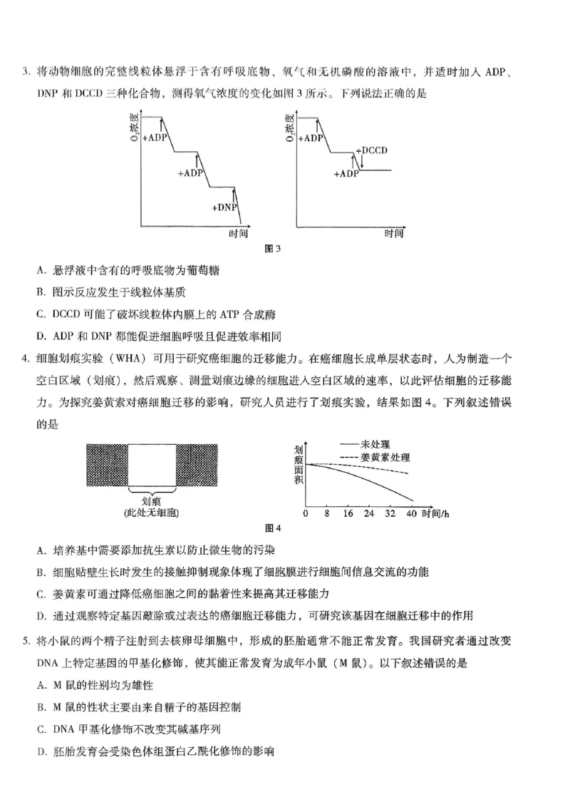 重庆市第八中学2026届高考适应性月考卷（六）生物_2024-2026高三（6-6月题库）_2026年03月高三试卷_260323重庆市第八中学2026届高考适应性月考卷（六）（全科）