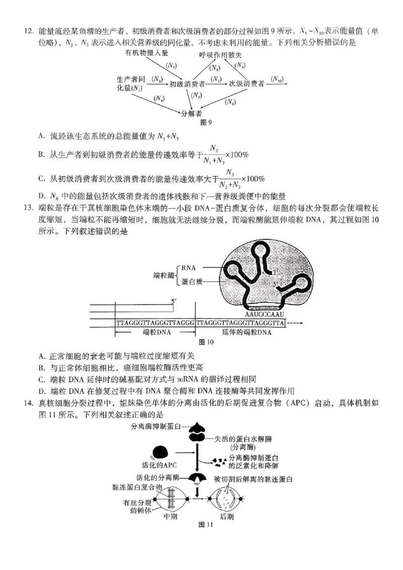 重庆市第八中学2026届高考适应性月考卷（六）生物_2024-2026高三（6-6月题库）_2026年03月高三试卷_260323重庆市第八中学2026届高考适应性月考卷（六）（全科）