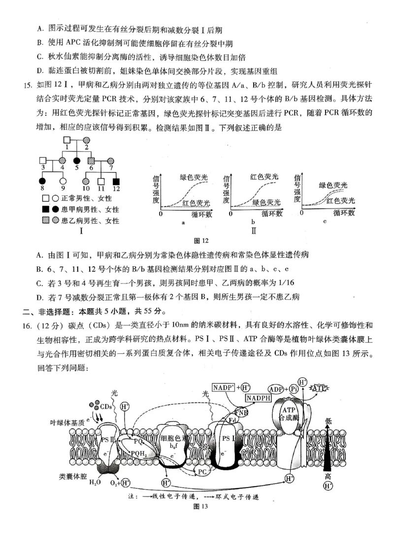 重庆市第八中学2026届高考适应性月考卷（六）生物_2024-2026高三（6-6月题库）_2026年03月高三试卷_260323重庆市第八中学2026届高考适应性月考卷（六）（全科）
