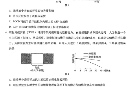 重庆市第八中学2026届高考适应性月考卷（六）生物_2024-2026高三（6-6月题库）_2026年03月高三试卷_260323重庆市第八中学2026届高考适应性月考卷（六）（全科）
