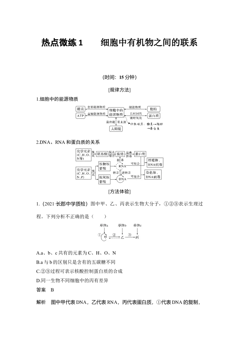 热点微练1细胞中有机物之间的联系_通用版（老高考）复习资料_2023年复习资料_一轮复习_2023年高考生物一轮复习讲义+课件（全国版）_2023年高考生物一轮复习讲义（全国版）