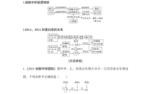 热点微练1细胞中有机物之间的联系_通用版（老高考）复习资料_2023年复习资料_一轮复习_2023年高考生物一轮复习讲义+课件（全国版）_2023年高考生物一轮复习讲义（全国版）
