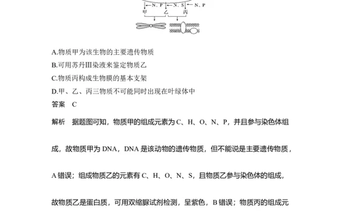 热点微练1细胞中有机物之间的联系_通用版（老高考）复习资料_2023年复习资料_一轮复习_2023年高考生物一轮复习讲义+课件（全国版）_2023年高考生物一轮复习讲义（全国版）