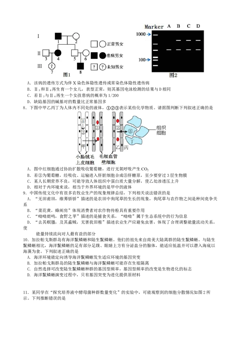 江苏省南京市六校联合体2022-2023学年高三10月联合调研生物试卷_生物高考模拟题_新高考_2023年