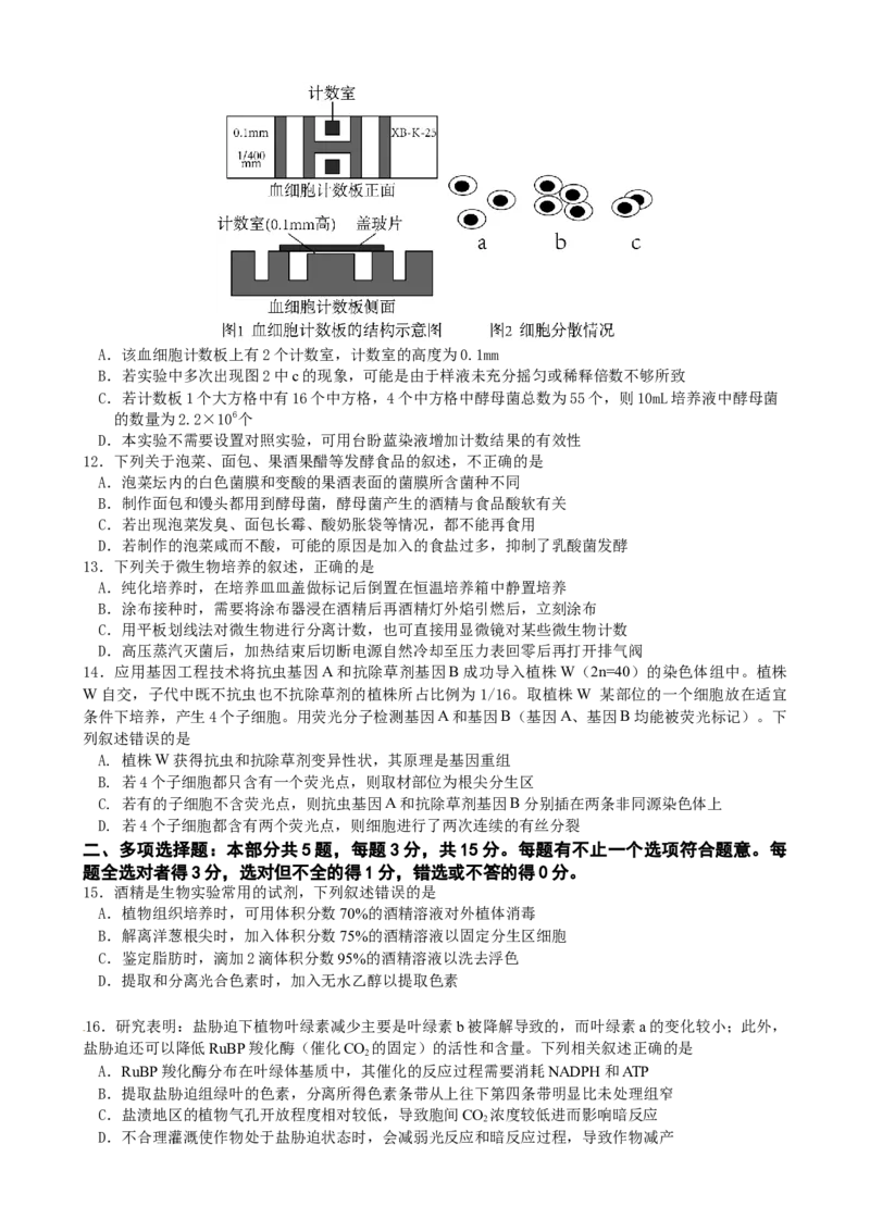 江苏省南京市六校联合体2022-2023学年高三10月联合调研生物试卷_生物高考模拟题_新高考_2023年