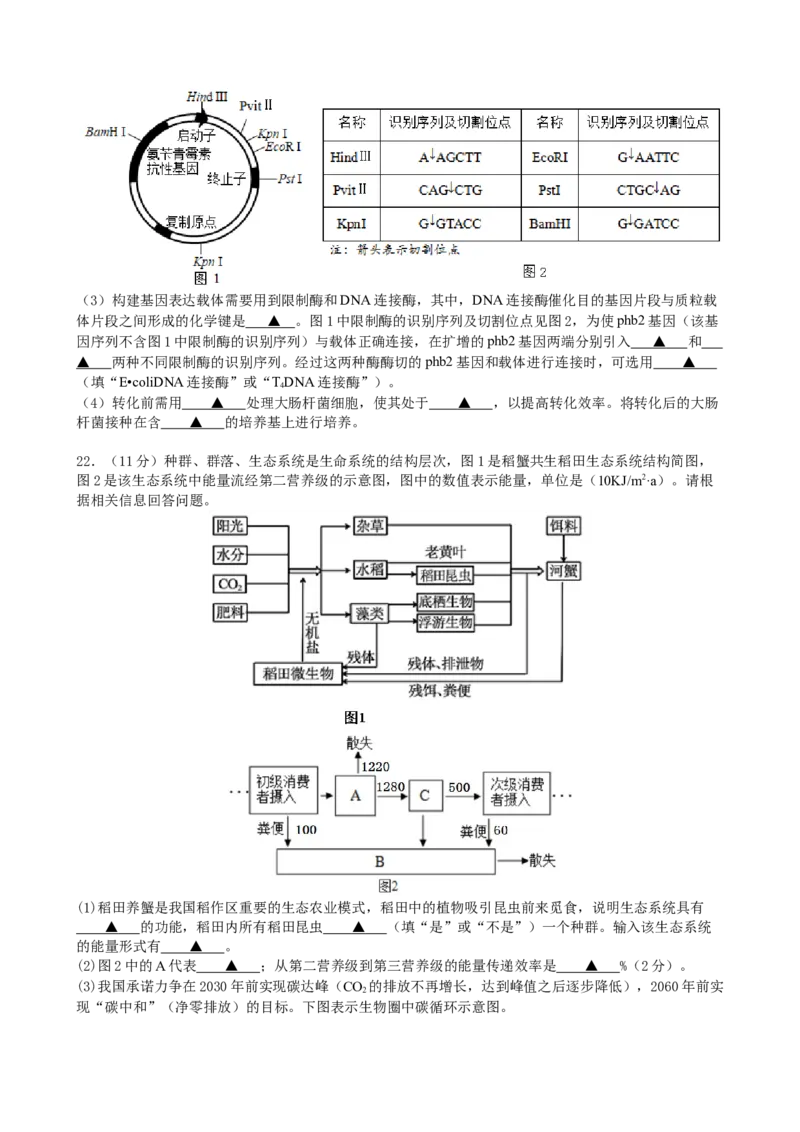 江苏省南京市六校联合体2022-2023学年高三10月联合调研生物试卷_生物高考模拟题_新高考_2023年