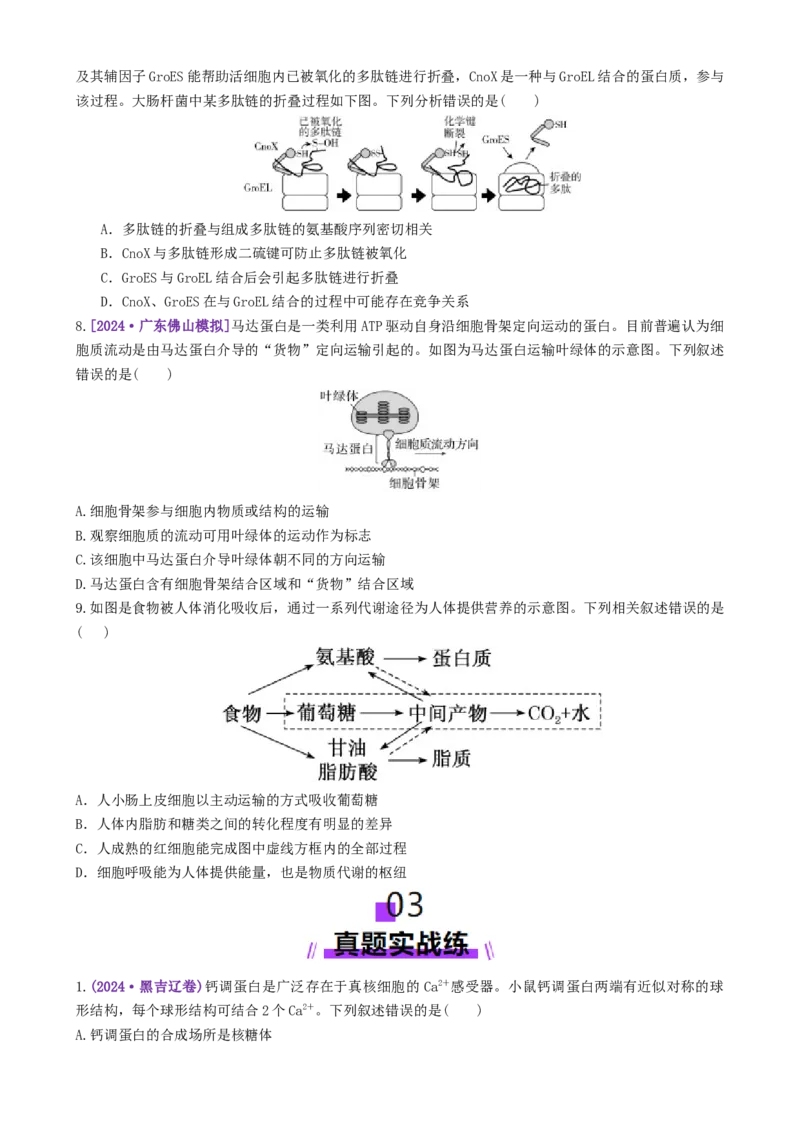 第01讲细胞中的元素和化合物（练习）（原卷版）_2025年新高考资料_二轮复习_上好课2025年高考生物二轮复习讲练测（新高考通用）3380526