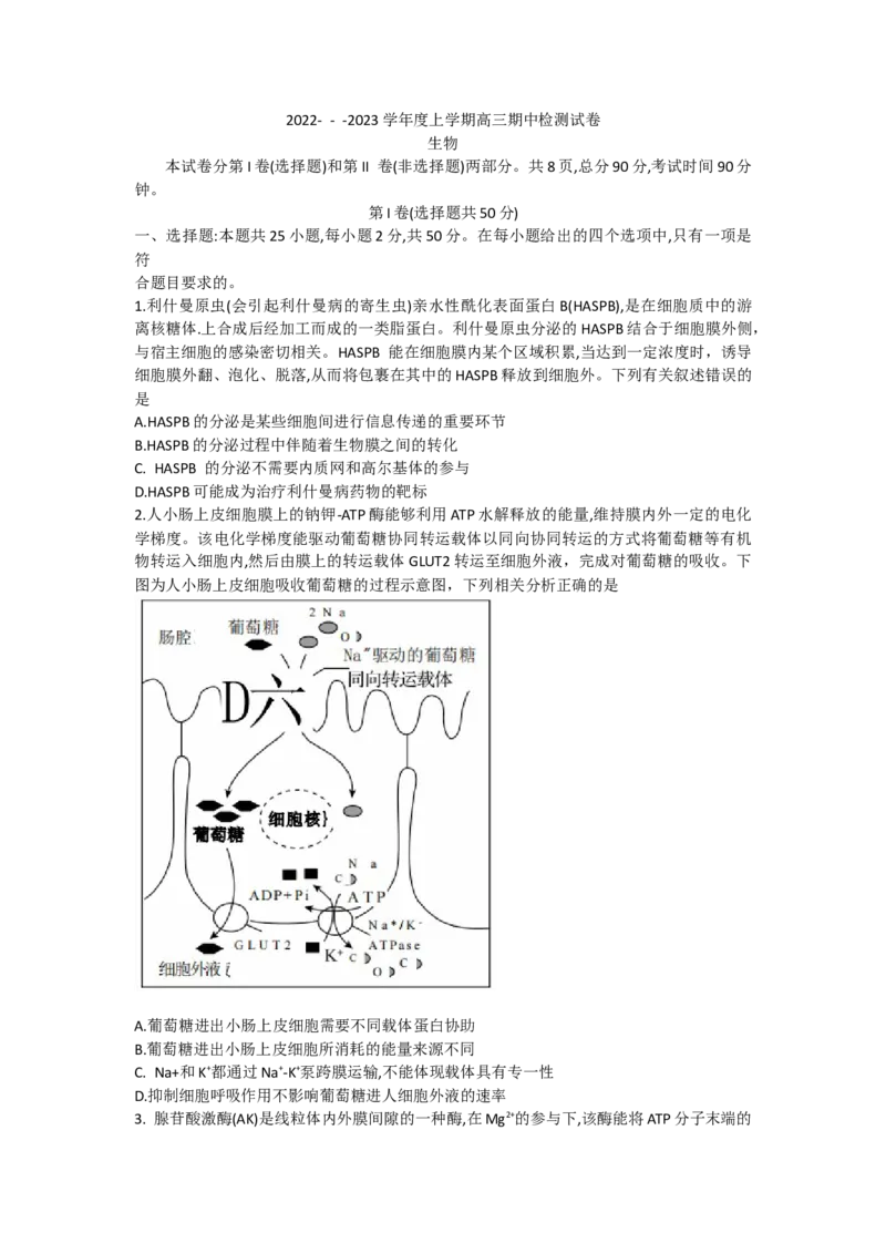 甘肃省张掖市某重点校2022-2023学年高三上学期期中检测生物试题_生物高考模拟题_老高考_2023年