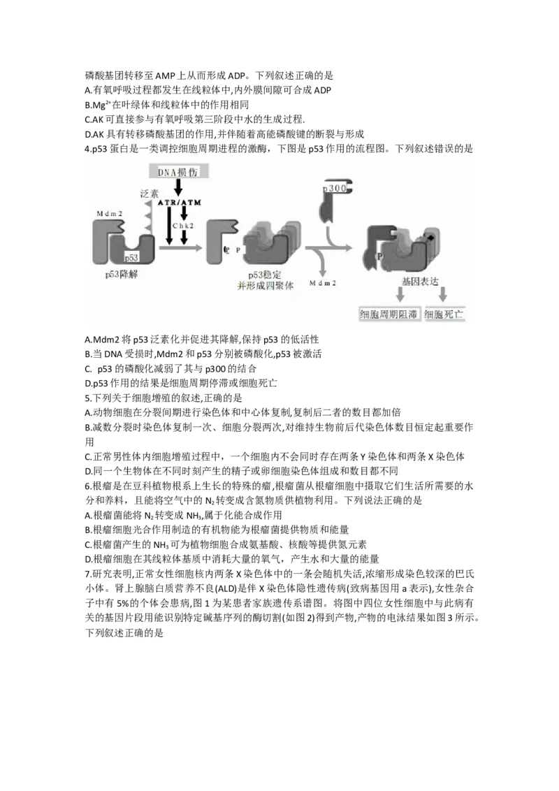 甘肃省张掖市某重点校2022-2023学年高三上学期期中检测生物试题_生物高考模拟题_老高考_2023年