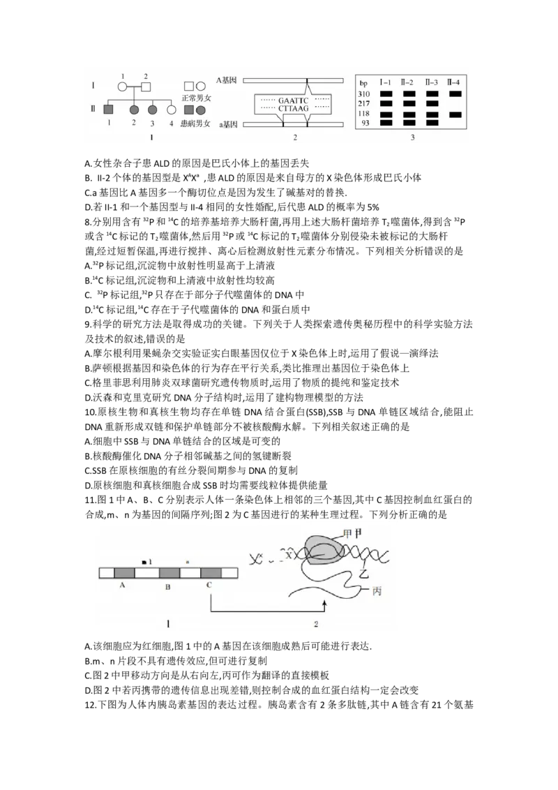 甘肃省张掖市某重点校2022-2023学年高三上学期期中检测生物试题_生物高考模拟题_老高考_2023年